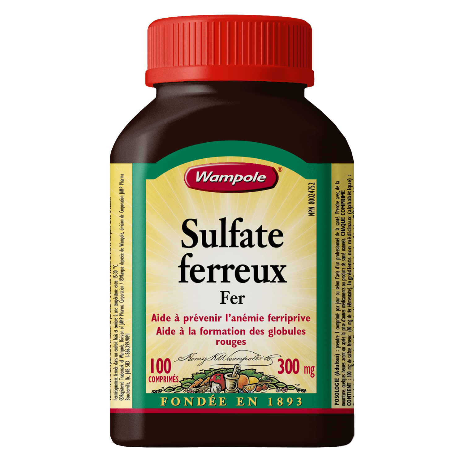 Sulfate_Ferreux_FR