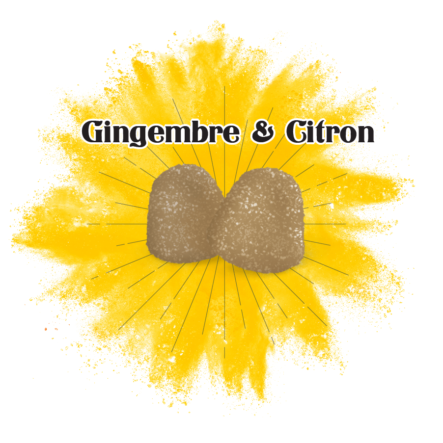 Gingembre_citron