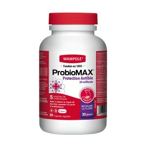 EN SOLDE - PROBIOMAX PROTECTION ANTIBIO 20 MILLARDS