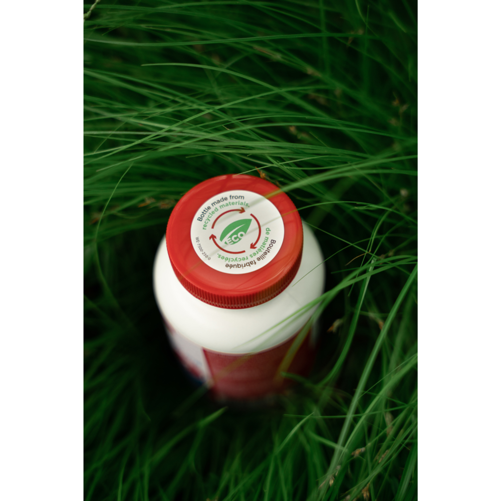 ACIDE FOLIQUE 1MG – Image 3