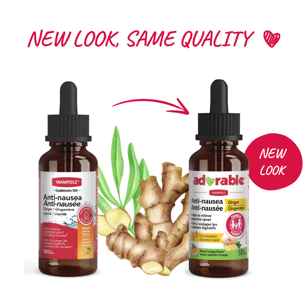 ANTI-NAUSEA GINGER LIQUID DROPPER - Image 2