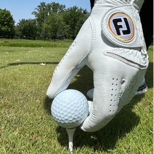 Carrousel Étienne Papineau 2